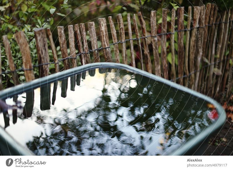 Sky and tree reflected in rainwater barrel, picket fence in background Garden Gardening Water Rainwater rainwater buoy reflection Surface of water Wet Fence