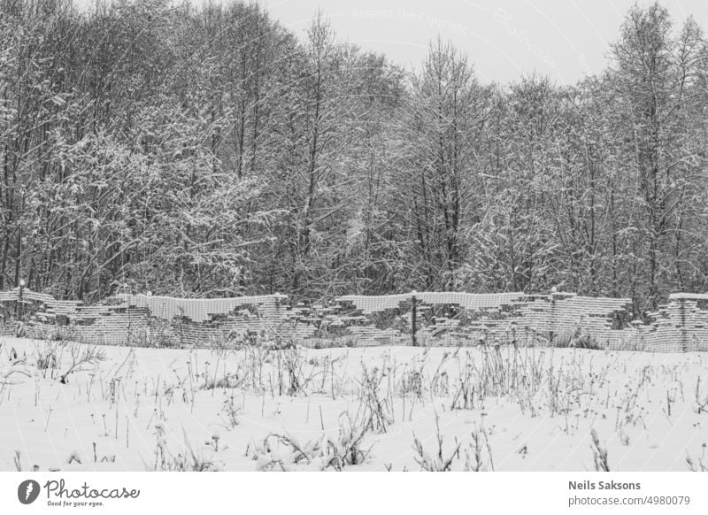 snow covered metal fence along deciduous leafless trees abstract alder tree art backdrop background black blank christmas christmas pattern cold weather color