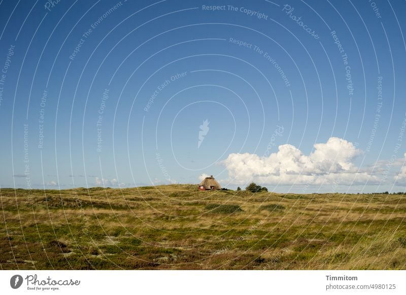 Postcard from Denmark Vacation home dunes Marram grass Sky Clouds Beautiful weather Cliche Horizon Vacation & Travel Nature Landscape duene Tourism Autumn