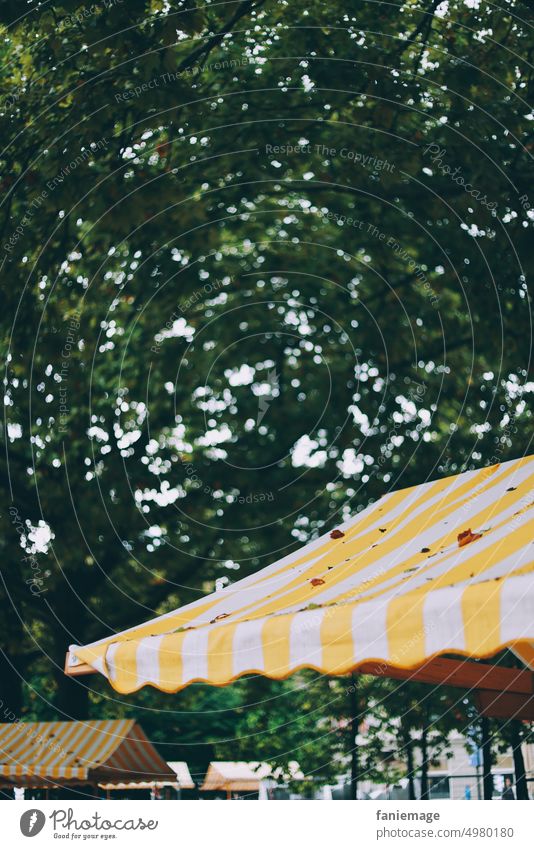 Bregenz market stalls in the rain Market stall Martkplatz Yellow White Green Tree sale Rain Rainy weather rainy Autumn Autumnal weather Cold Wet cold and damp