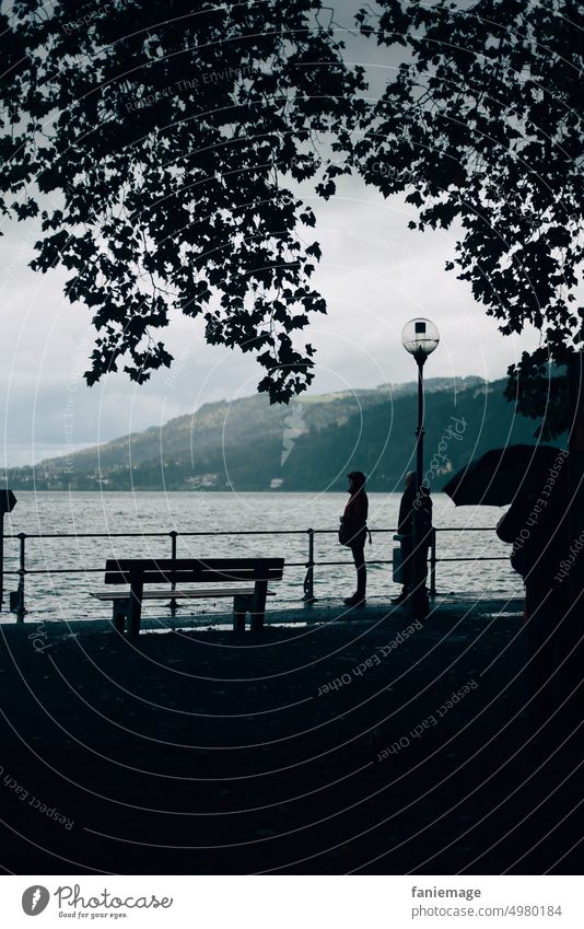 Beautiful rainy weather Lake Constance Regeneration see street lamp Lamp Tree Deciduous tree Leaf canopy rain cape Bench Bregenz Waves Water Rain Rainy weather