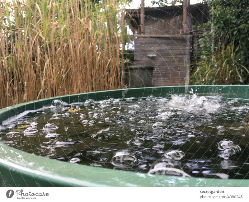 The barrel is full. Wet Rainwater butt Garden plot Irrigation raindrops Drops of water Water Nature Plant Weather Bad weather Close-up Summer Bubbles