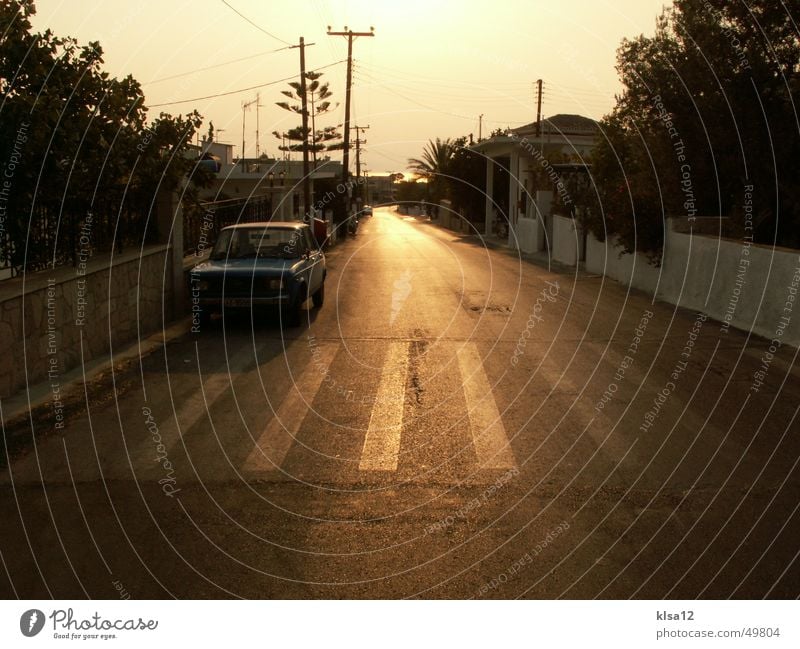 Road of Happiness ;) Romance Summer Zebra crossing Tree street sun car Sadness