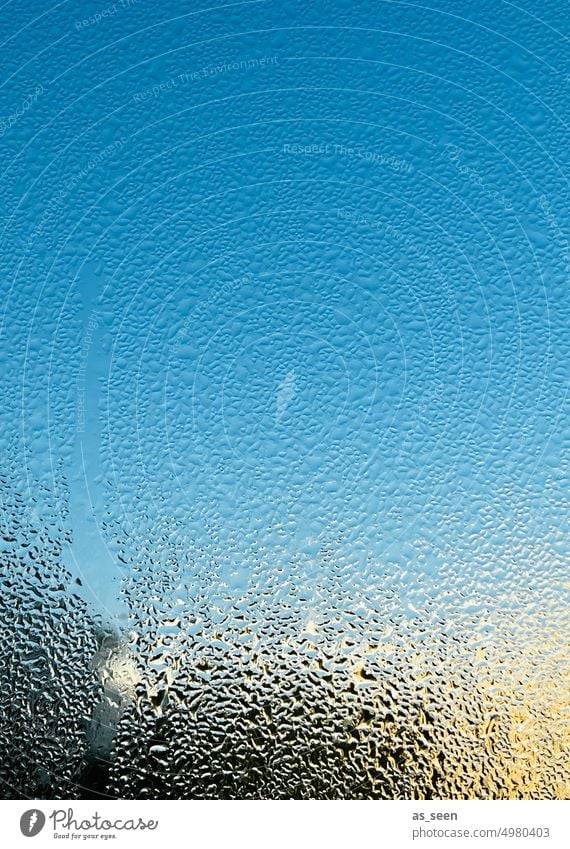 Window on a beautiful cold day Condensation Window pane Drop Water Drops of water Wet Glass Weather Deserted Reflection Sun chill Cold Damp Light Close-up