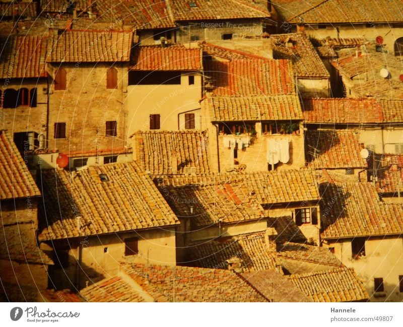 siena 3 Roof Roofing tile Italy Tuscany Laundry Vacation & Travel South Siena renaissance Above