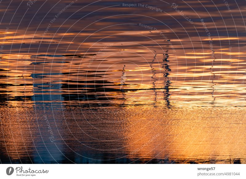 Nightlife | still rests the sea topic day Night life Baltic Sea Harbour harbour basins Current Reflection Water Colour photo Exterior shot Deserted Calm Ocean