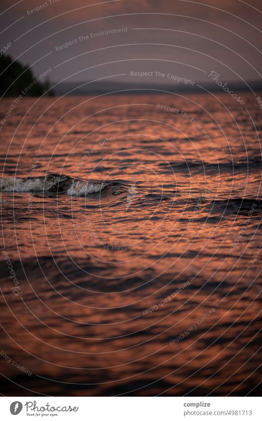 Evening light at the lake Lake Finland Scandinavia dim light Twilight Red Sunset Summer Water Waves Swell reddishly bank North lappajärvi