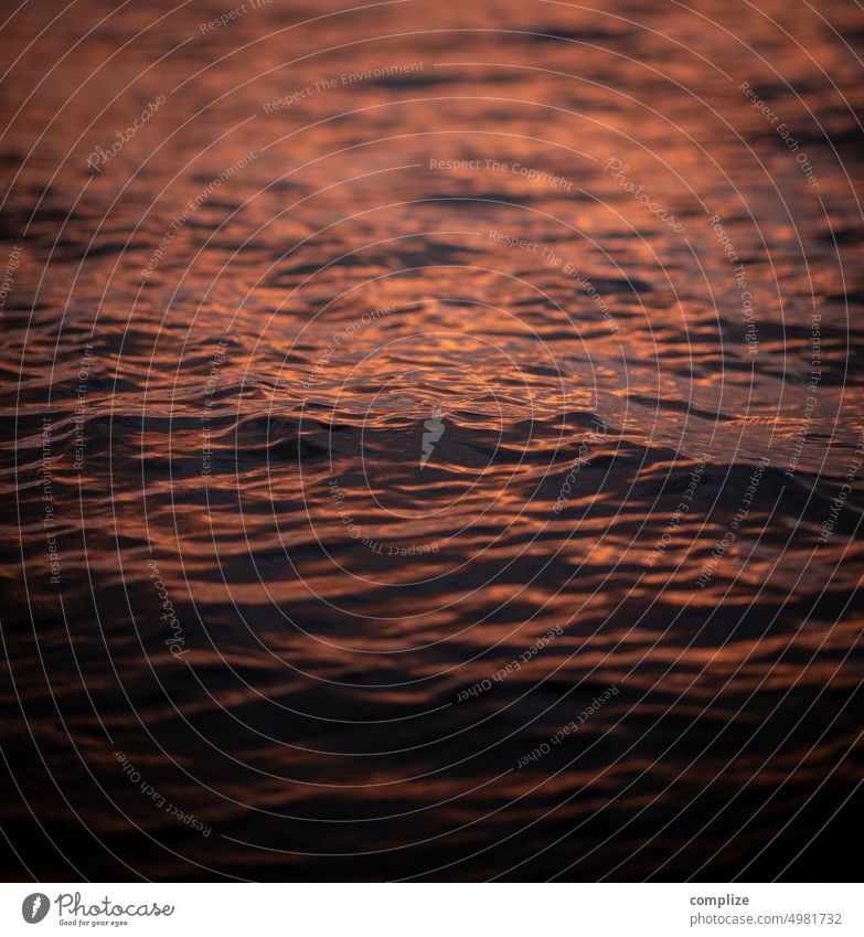 Evening light at the lake Lake Finland Scandinavia dim light Twilight Red Sunset Summer Water Waves Swell reddishly bank North lappajärvi