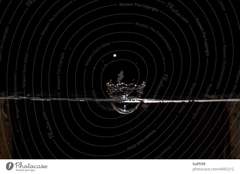 a drop falls into the water and leaves traces Drops of water Water Hover Inject Surface of water Flash photo To fall Black Refraction hovering Glittering