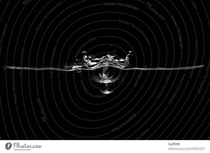 a drop falls into the water and leaves traces Drops of water Water Hover Inject Surface of water Flash photo To fall Black Refraction hovering Glittering