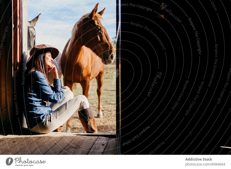 Woman with horses on porch of house ranch sitting together freedom building friends peace beautiful scenic fauna outdoors content countryside field sunlight