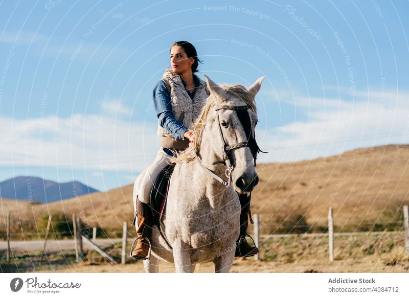 Woman ridding on white horse in nature rider rural bright sunlight equine sitting horseback saddle recreation lifestyle breed farm outdoors cowgirl animal sport