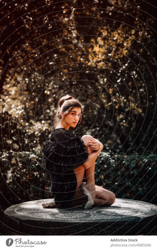 Ballerina posing on a table dance dancer dress portrait ballerina ballet pointe young female art person woman girl caucasian elegance elegant professional