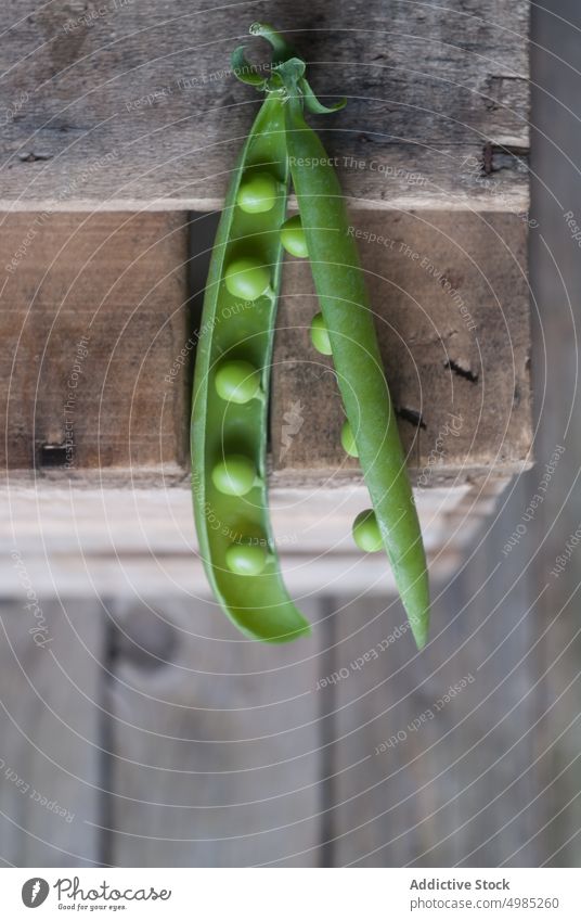 Closeup of pea pod on wood green fresh vitamin food vegetable organic open plant legume nutrition row seed raw harvest vegetarian ingredient grain health vegan