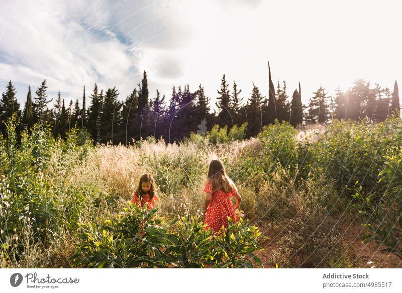 Girls in red dresses walking in field girl friend nature summer sister explore adventure basket childhood fun curious family kid little sibling together meadow