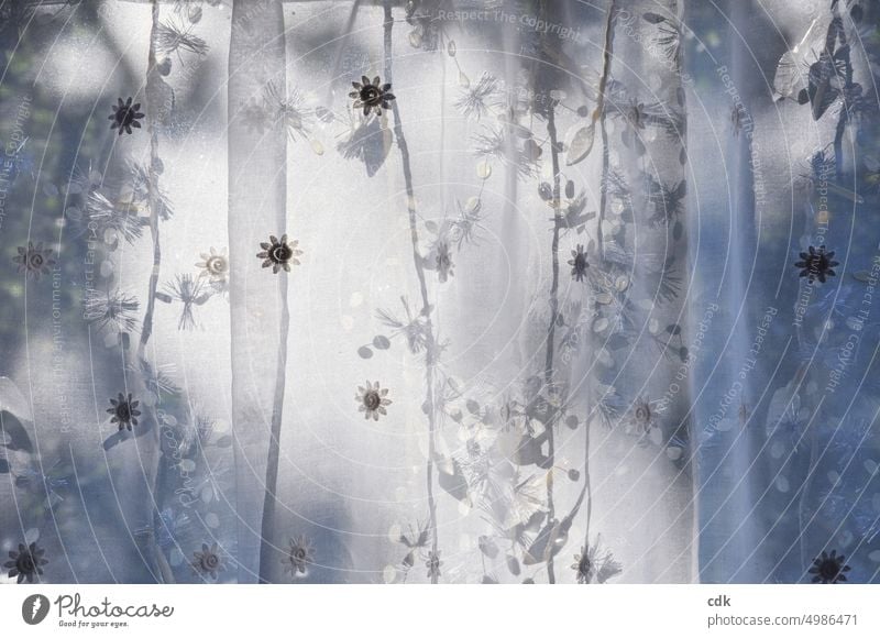 Light & shadow on a white curtain with embroidered suns and Christmas lights chain Curtain Drape Window detail Living or residing Cloth Shadow Flat (apartment)