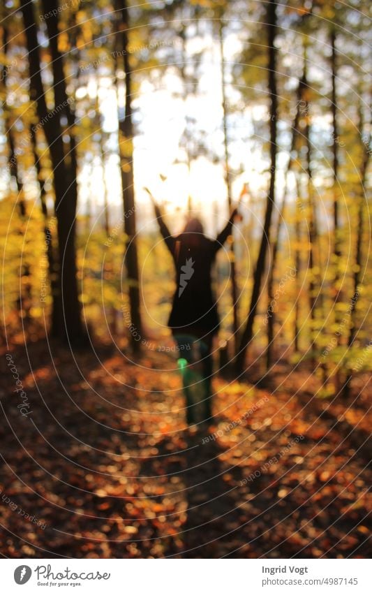 Woman throwing leaves in autumn forest in the air Autumn leaves Forest trees Nature autumn mood Autumnal weather foliage Sunlight