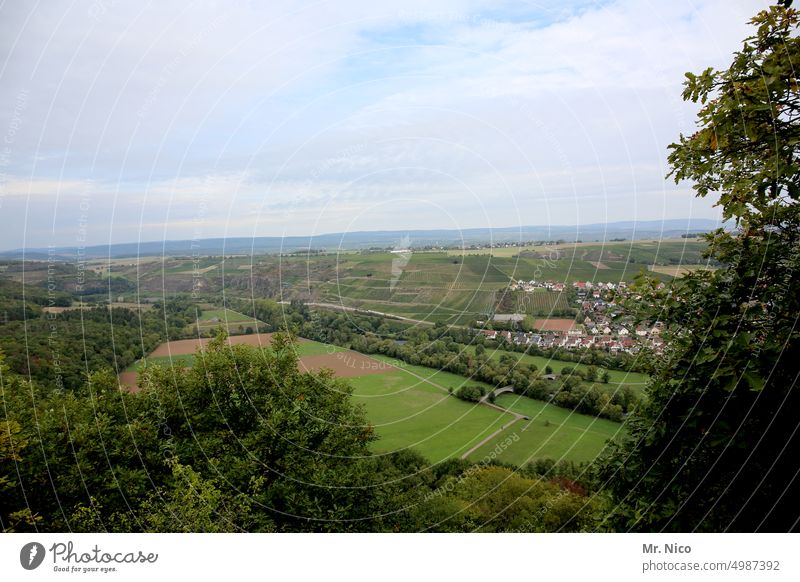 Nahe Valley ebernburg norheim Panorama (View) Vantage point Forest bathroom stone cathedral bad kreuznach Hill Landscape Rhineland-Palatinate nearby valley