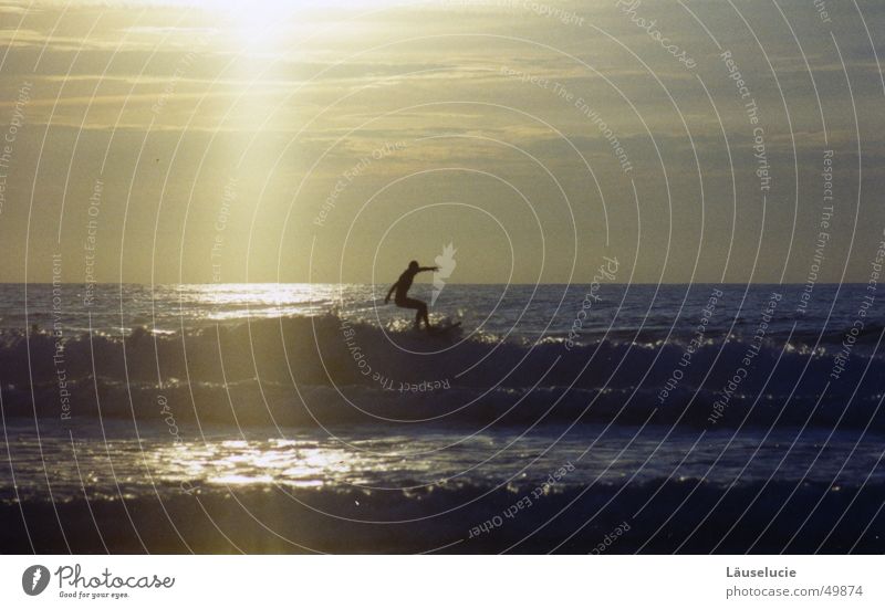 surfer Summer Surfer Atlantic Ocean France Beach Surfing Evening Sun Freedom