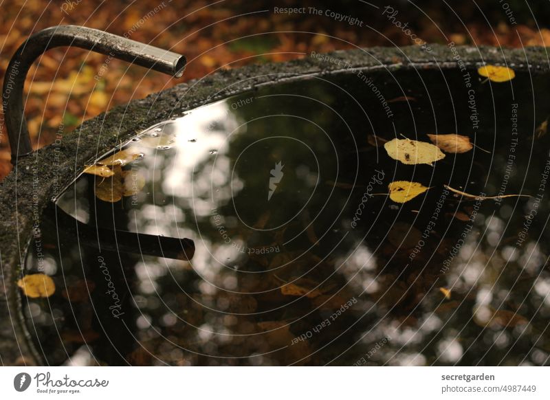 [HH unnamed road] Still waters are one thing above all: still Well silent Autumn leaves warm Wet Water Damp Nature Close-up Detail Drop Reflection