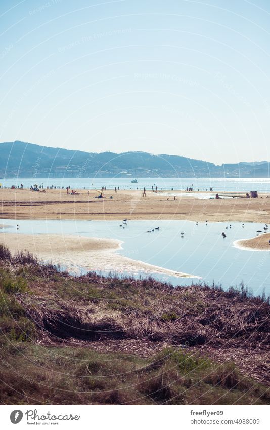 Virgin beach in europe with wetlands and birds natural spain fauna landscape copy space virgin tour tourism shoreline coast coastline park sea coastal