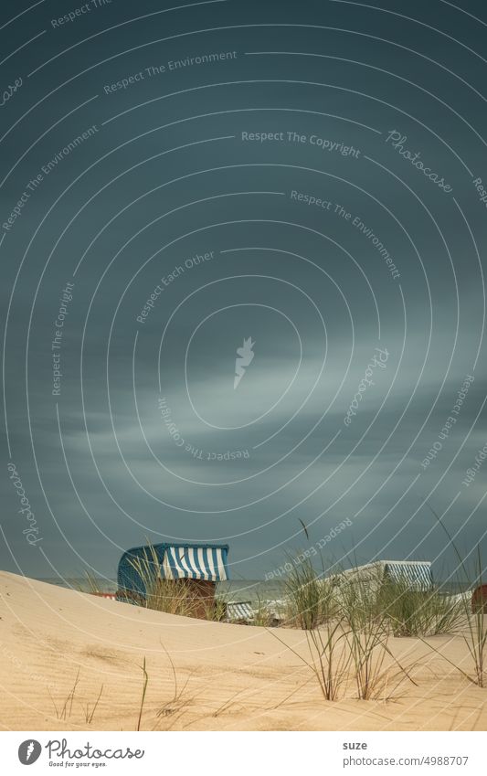 Off to the basket! Beach Baltic Sea Beach chair Sky coast Vacation & Travel Sand Blue Relaxation Ocean duene Marram grass Maritime Sea Air dunes Landscape