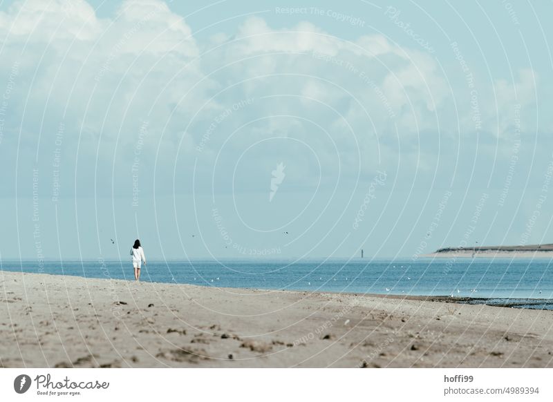 a walker on the beach with lighthouse and island in the background Woman Human being To go for a walk Beach coast North Sea North Sea beach Island tranquillity