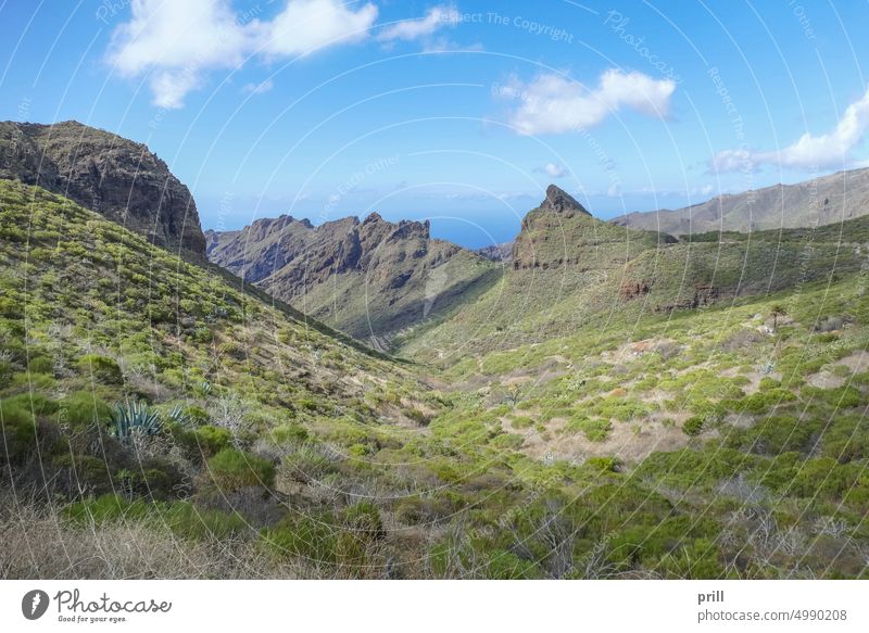 Around Masca and Teno in Tenerife mountain canary islands spain mountain range anaga massif teno massif Macizo de Anaga Macizo de Teno masca macaronesia