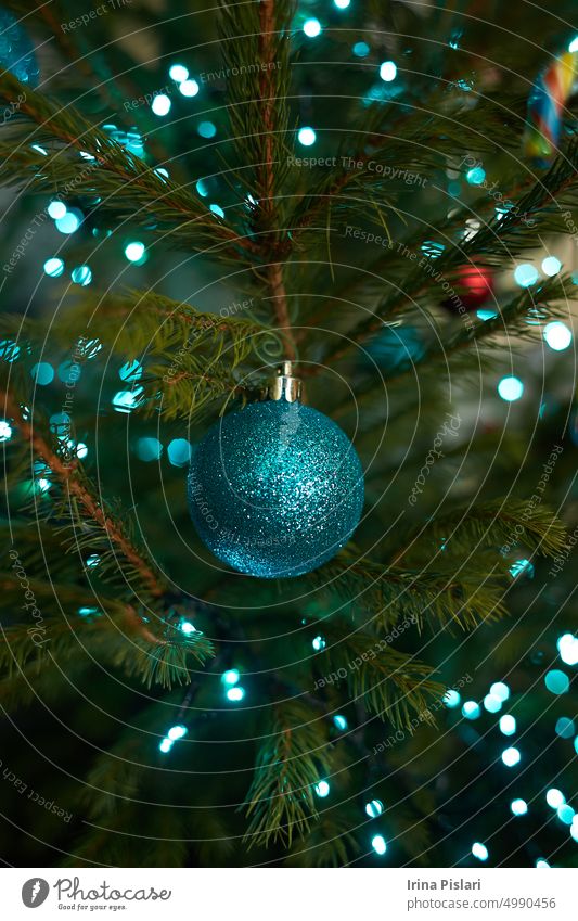 Close up of holiday electric blue garlands on fir branch with Christmas tree decoration and candy sweet. Candy cane hanging onto the branch of a Christmas tree