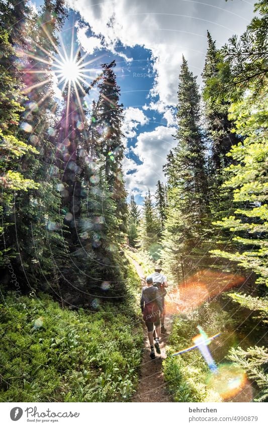 image disorder | spots Hiking Weather Rocky Mountains Alberta Jasper national park Trip Lanes & trails hikers Sun Sunlight Impressive solar star Sunbeam Climate