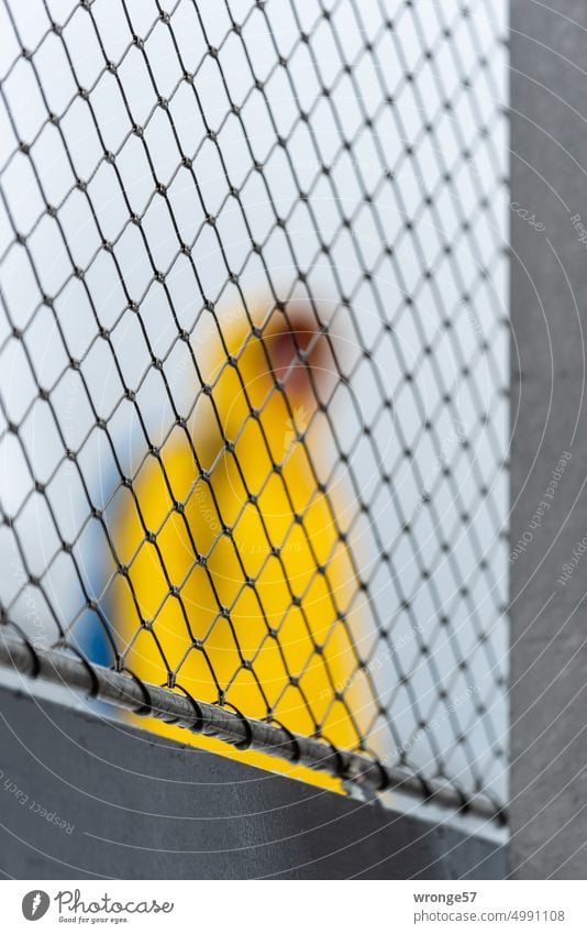 Bad weather zone Rainy weather East Frisian mink Rain jacket Yellow rain jacket person Blurred person shallow depth of field Wire netting Autumn Exterior shot