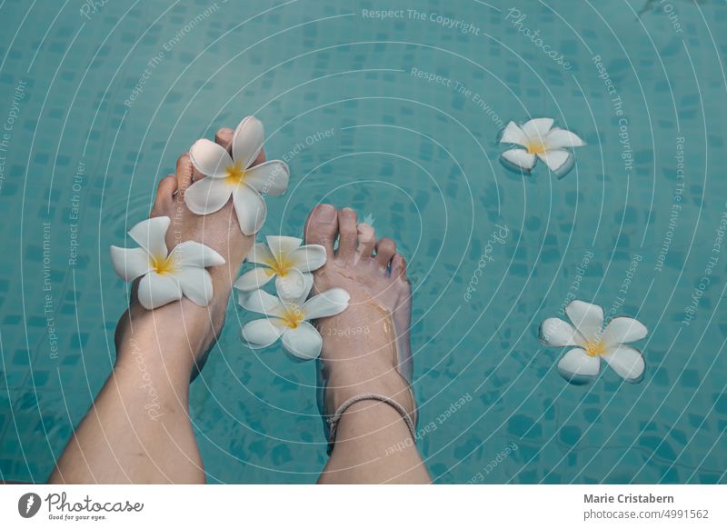 High angle view of feet soaking in blue clear water with frangipani flowers pampering self-care lifestyle top view summer wellness wellbeing copy space healthy