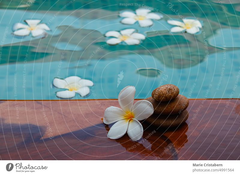 Stacked of flat stone beside a pool filled with frangipani flowers lifestyle healing balance harmony wellness concept no people spa leisure vacation holiday