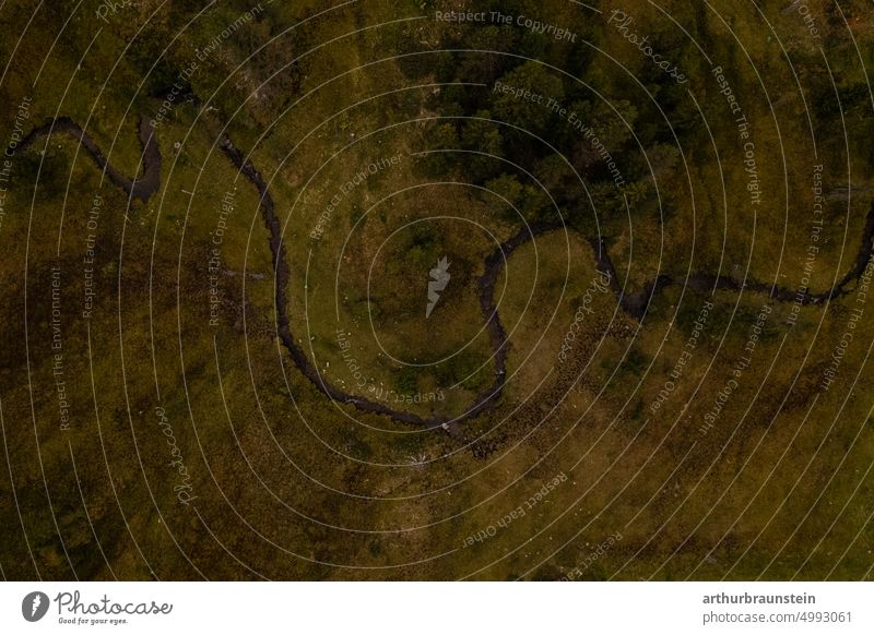 Mountain stream meanders through the landscape between meadows and forests out Nature Bird's-eye view Exterior shot UAV view Colour photo Summer Landscape