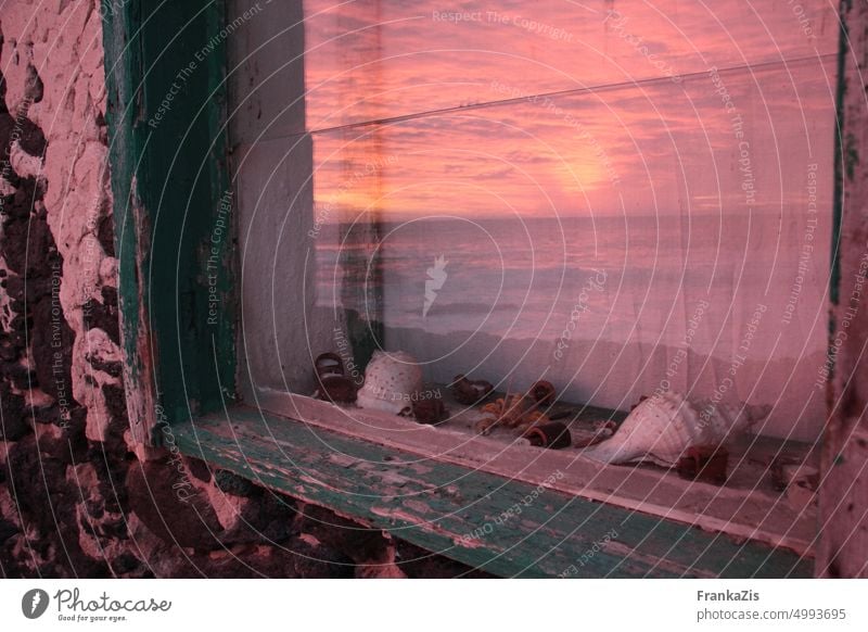 Sunset over the sea reflected in a window. On the window sill lie collected shells. Light Ocean Evening Sky Water Dusk coast Vacation & Travel Horizon