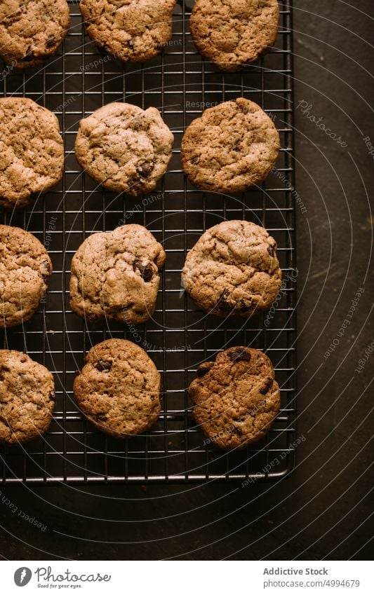 Homemade chocolate chips cookies baked cooling rack crunchy food homemade rustic sugar sweet tasty delicious fresh cuisine dessert pastry crust recipe biscuit