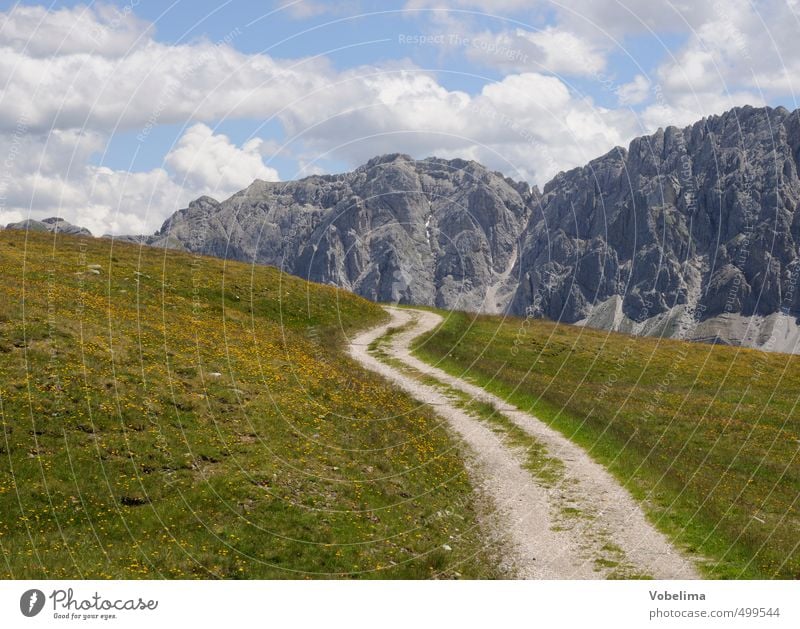 Wälscher Ring/Tullen from the Plose Nature Landscape Clouds Meadow Alps Mountain Peak Horizon mountains Dolomites choosy ring do well plosely South Tyrol