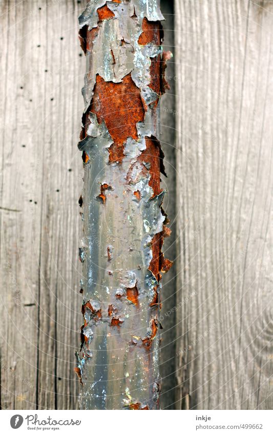 detail 4 Deserted Facade Iron-pipe Pipe Rust Wood Metal Old Broken Brown Gray Decline Transience Change Weathered Derelict Crack & Rip & Tear Flake off