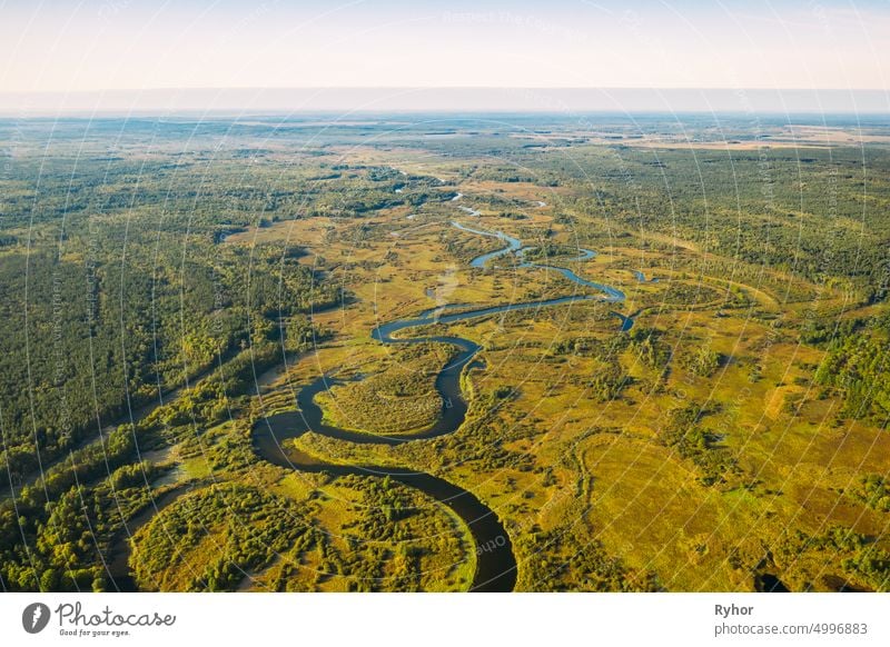 Aerial View Green Forest Woods And River Landscape In Sunny Summer Day. Top View Of Beautiful European Nature From High Attitude In Summer Season. Drone View. Bird's Eye View