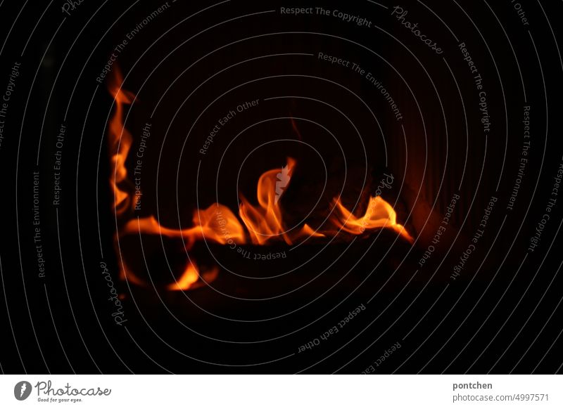 Fire burning in the fireplace. Alternative heating method. Energy crisis Wood Fireside Warmth Heat Burn blaze ardor Hot Blaze Glow