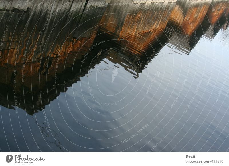 metallurgical magic Water Lakeside Deserted Hut Facade Idyll Moody Boathouse Wood Roof Surface of water Weathered Colour photo Subdued colour Exterior shot