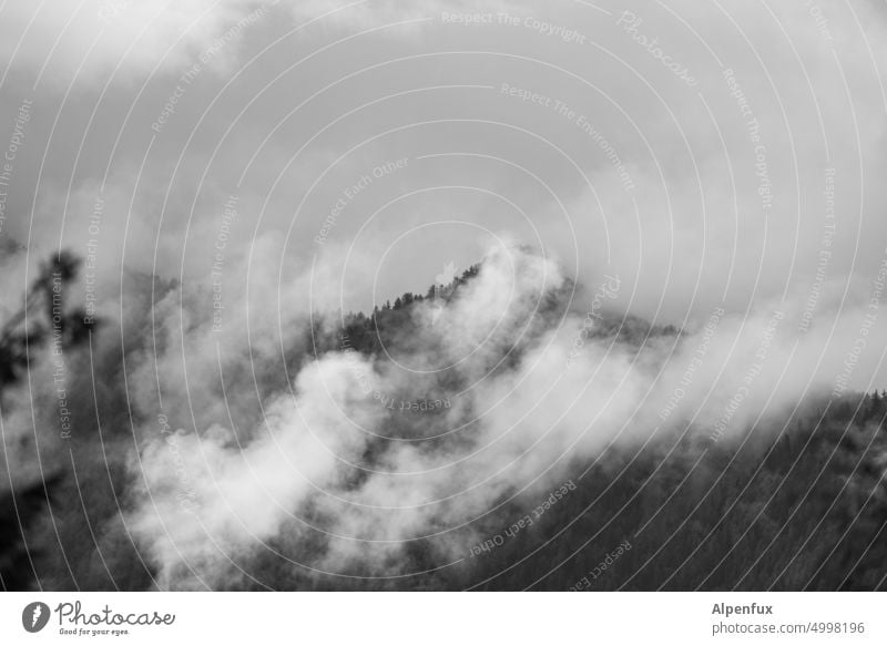 strange | is it burning or are there clouds Clouds Forest fire Deserted Smoke Exterior shot Threat Dangerous Landscape Hill Nature Climate change Destruction