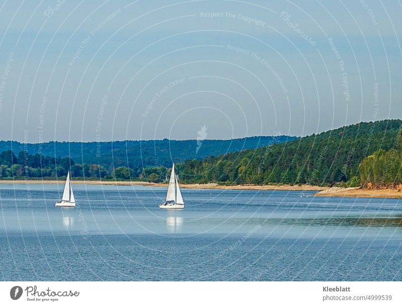 Two white sailboats on the Brombachsee - autumn atmosphere Sailboat Sailing Lake Water Forest Watercraft Sky Navigation Copy Space Vacation & Travel