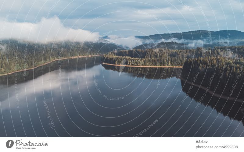 View of untouched nature from above. Mixed forest and lake under morning mist and sunrise. The lungs of the world with enough moisture to create fresh oxygen