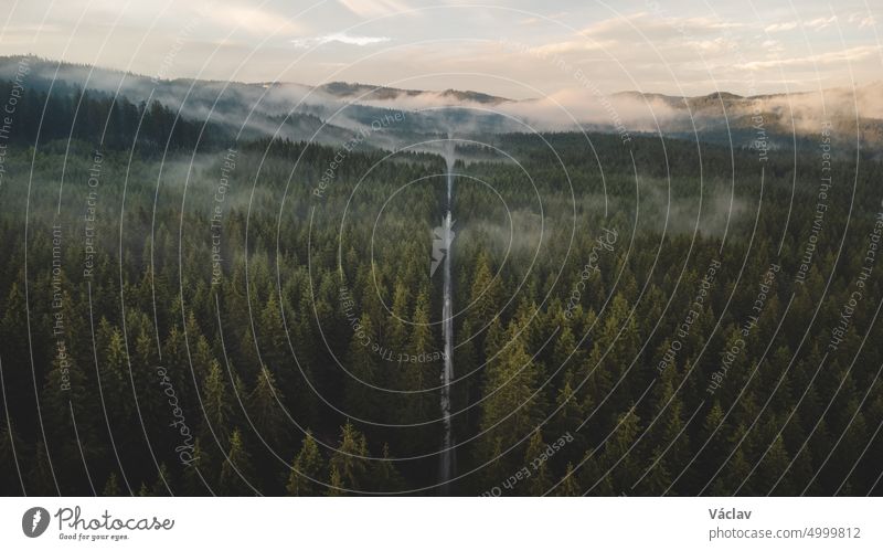 View from above of untouched nature and a straight asphalt road heading into the unknown in the morning mist and rain. A dark green tinge climate woodland