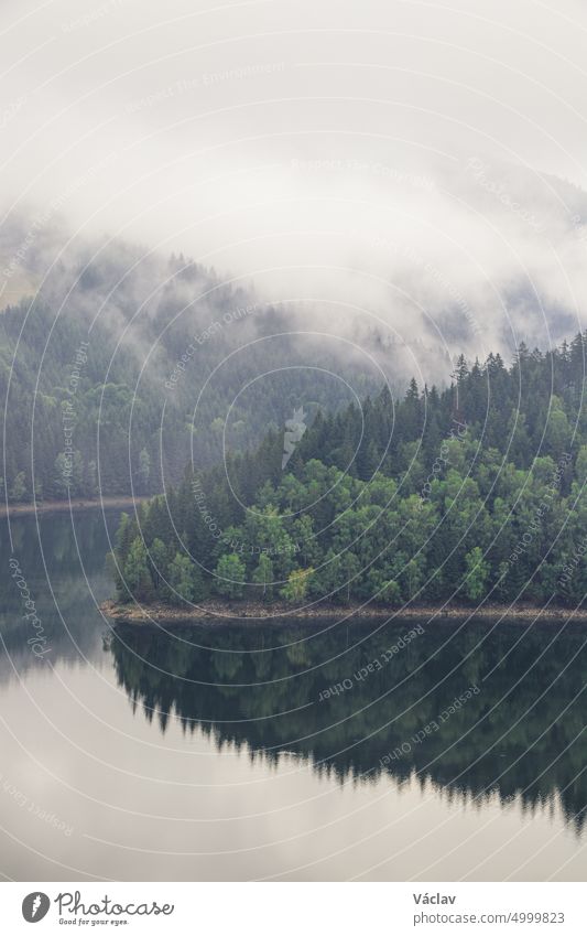 Rainy and foggy morning at the Sance Dam. Reflection of deciduous forest on the water surface. Autumn weather. Beskydy mountains, Czech republic. Green colour