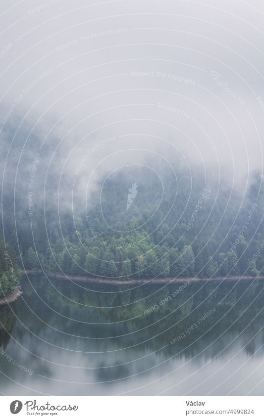 Rainy and foggy morning at the Sance Dam. Reflection of deciduous forest on the water surface. Autumn weather. Beskydy mountains, Czech republic. Green colour