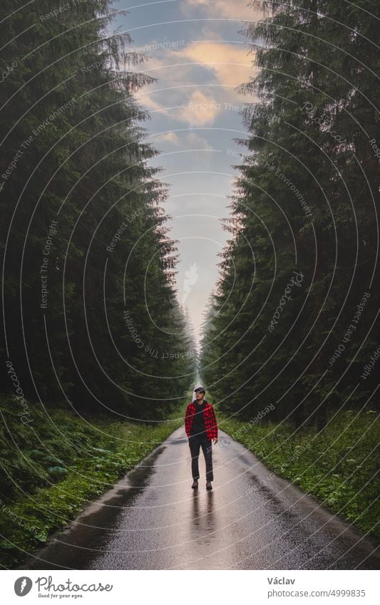 Man in a black and red shirt and a cap breathes fresh and healthy air. Relieved from the stress of work. A man walking through a spruce forest hiking czech