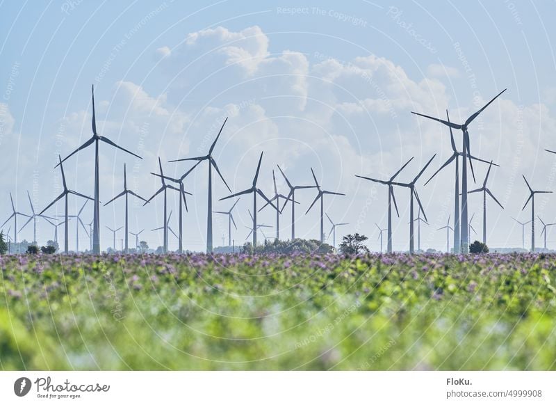 Wind farm in Dithmarschern in Schleswig-Holstein wind farm Renewable energy Wind energy plant Northern Germany coast Dithmarschen Environment renewable stream