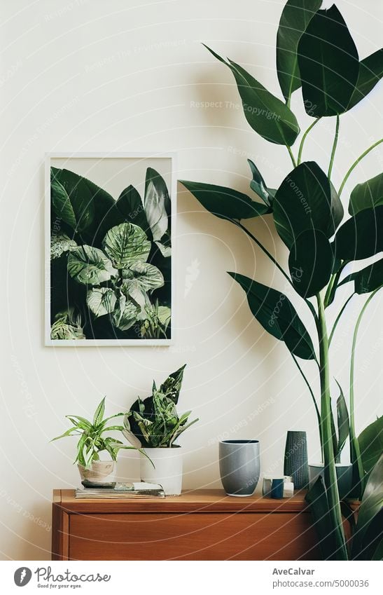 Modern composition of living room interior with brown mock up poster frame.Square wooden frame mock up with sofa and green plants on white wall in living room